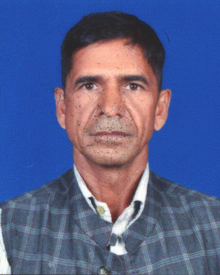 बद्री प्रसाद जैसी