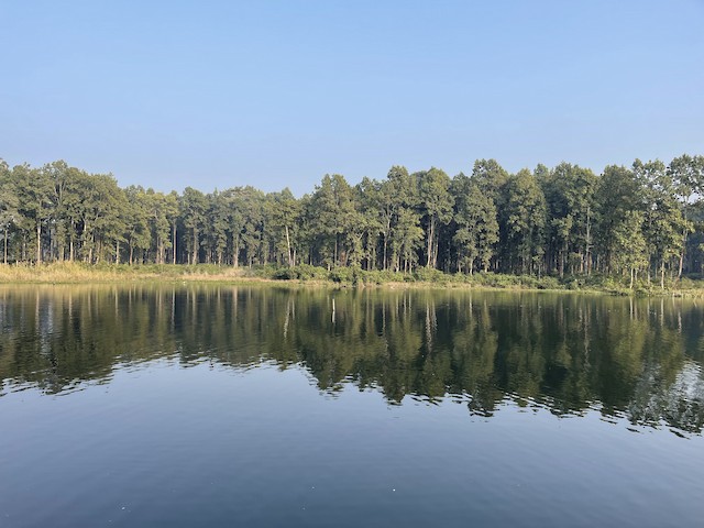 बेतना सिमसार