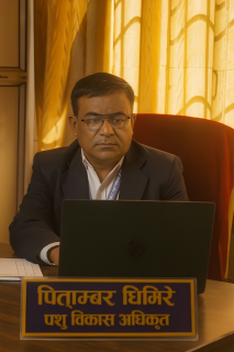 पिताम्बर घिमिरे
