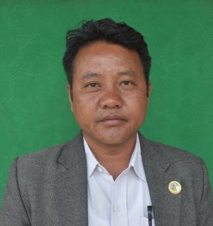 भीम प्रसाद हेम्व्या