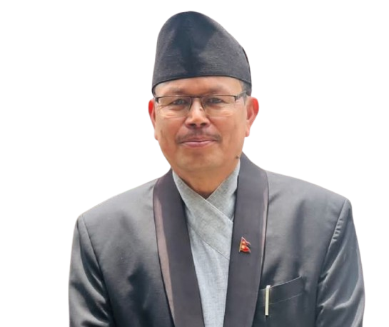 नविल बिक्रम शाह