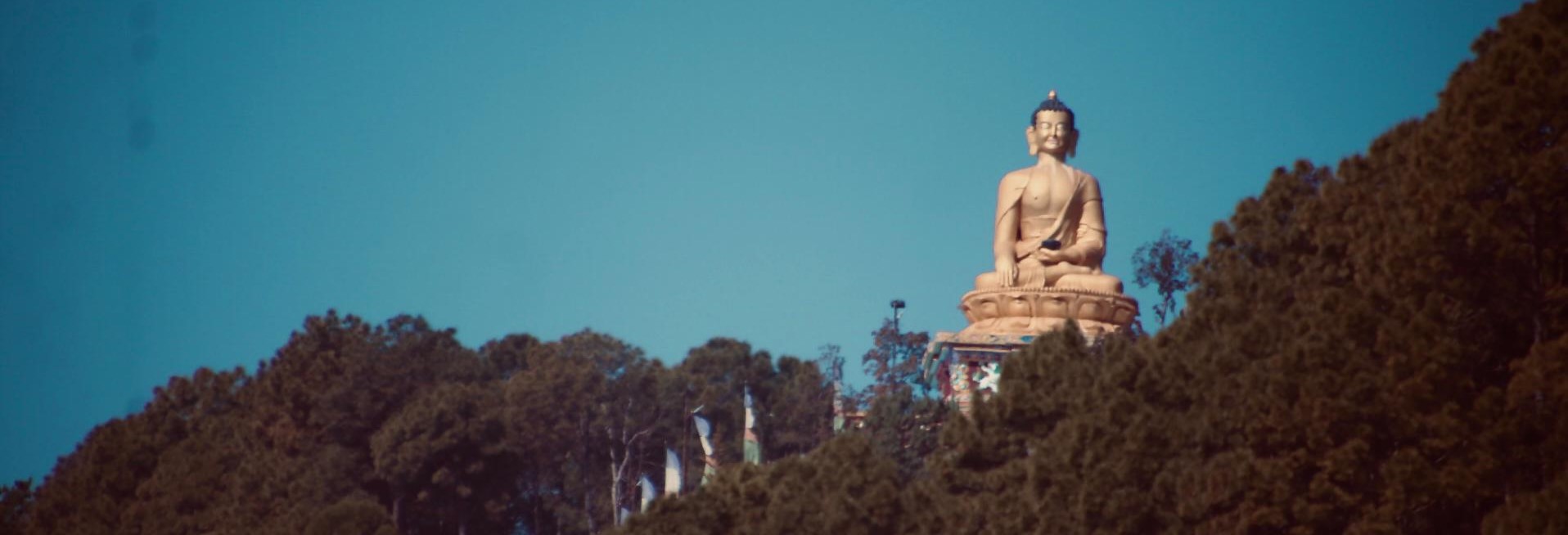 बुद्ध पार्क