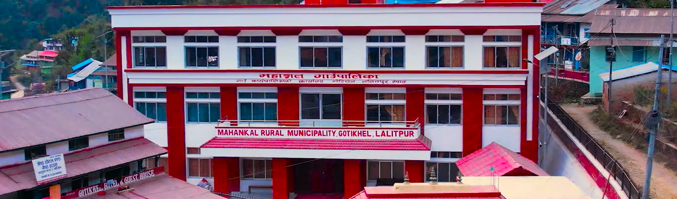 office of rural municipal executive