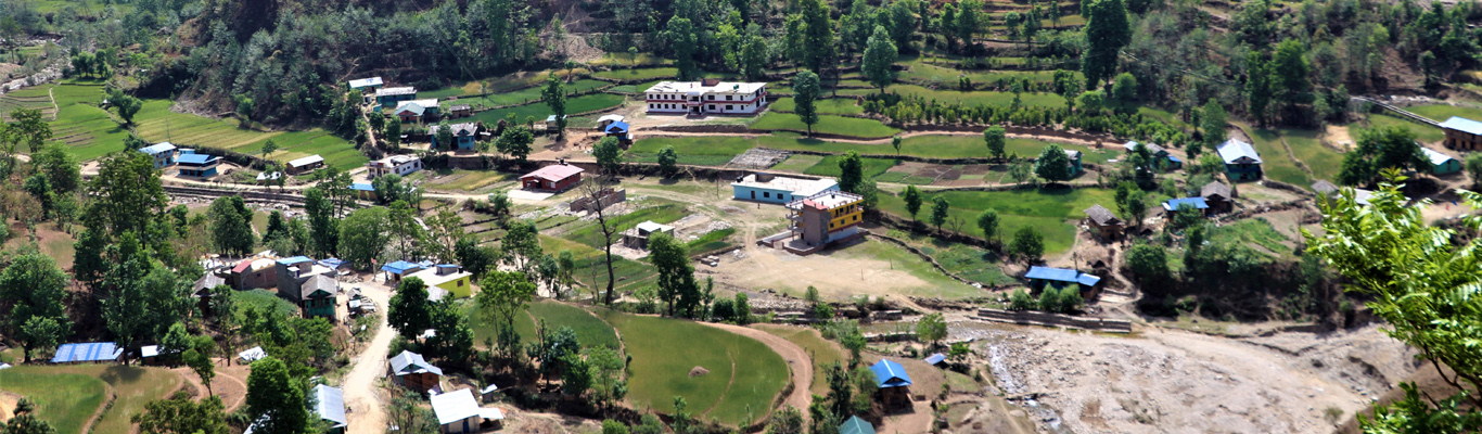पालिका परिसर