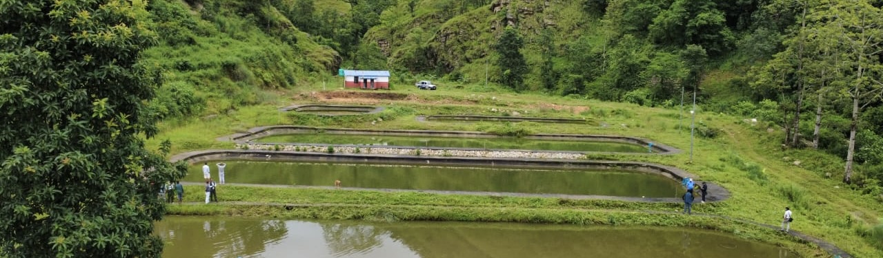 Machhapokhari, BhatKhola