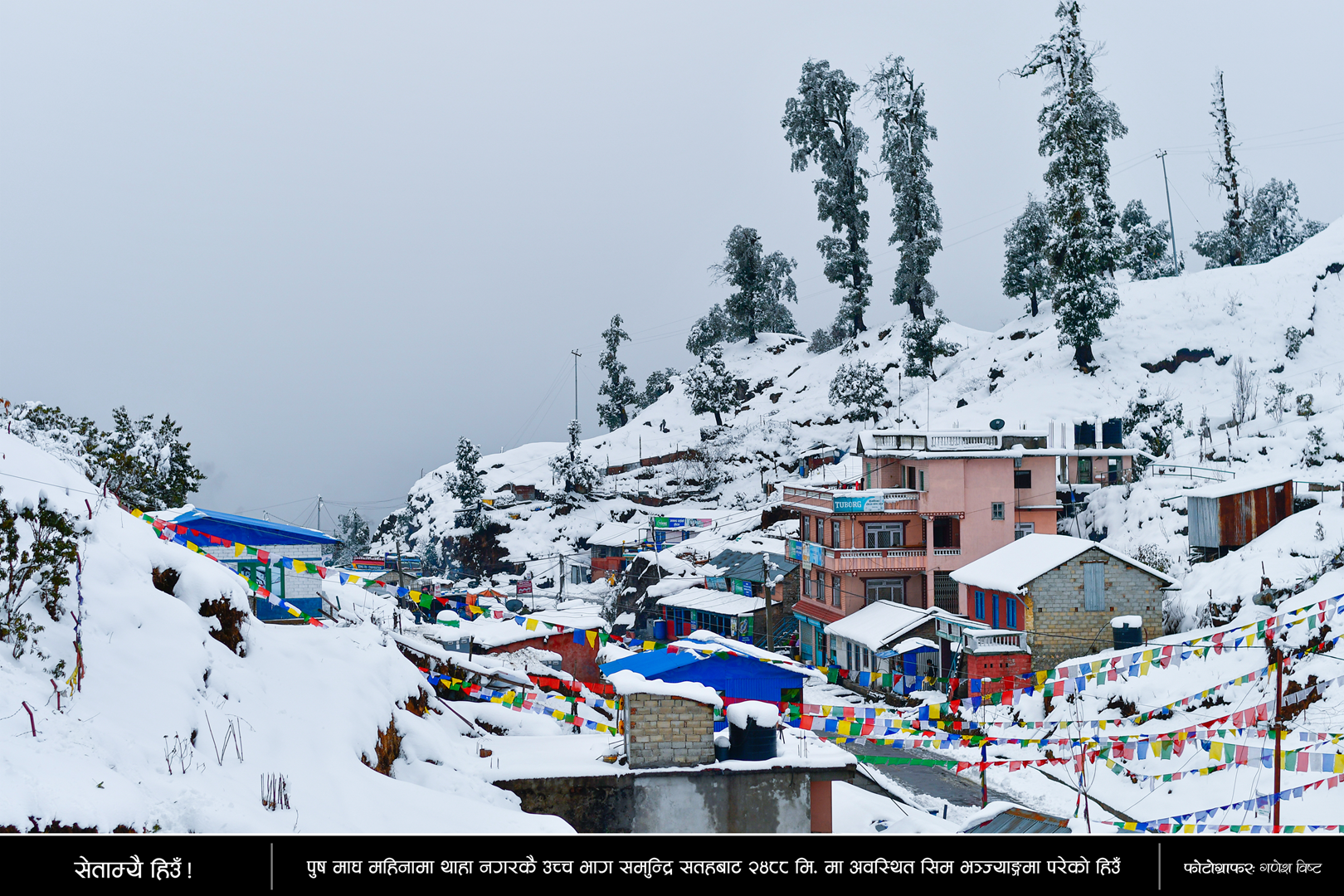 snow view