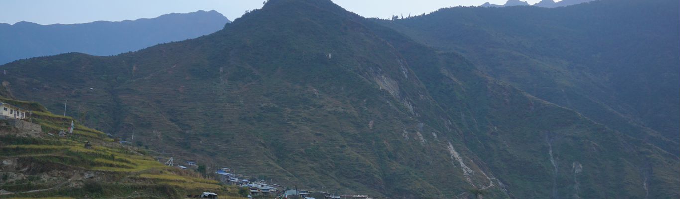 यार्सा