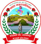 स्वत प्रकाशन