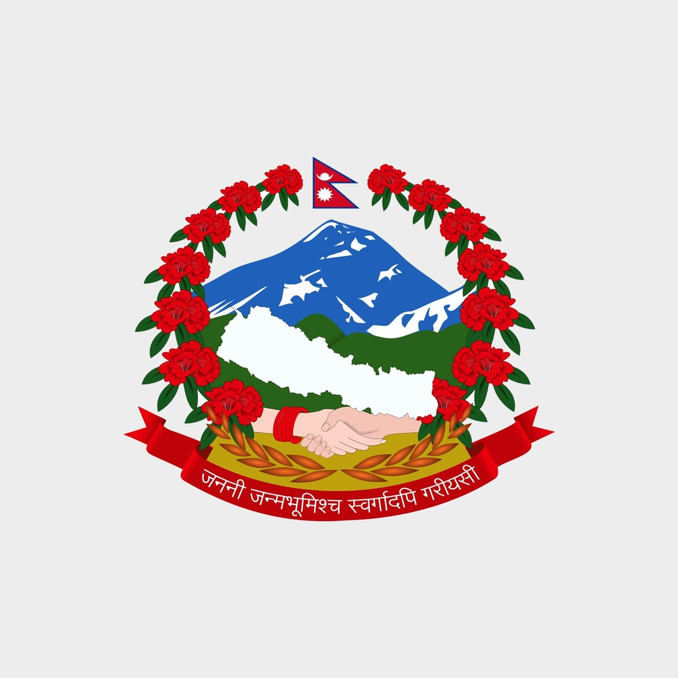 स्थानिय पाठ्यपुस्तक कक्षा ८ - img